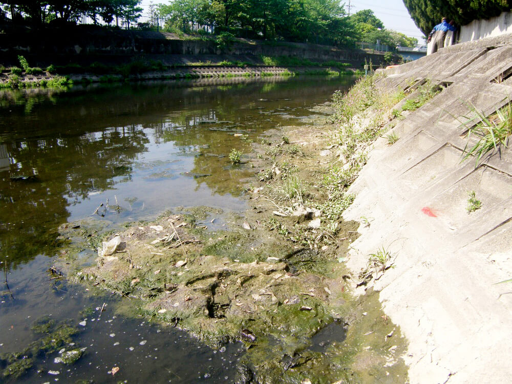 河川 施工前